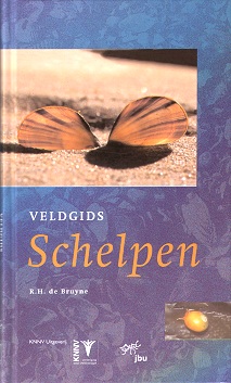 Veldgids Schelpen